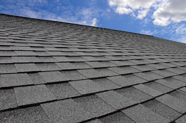 Best Solar Panel Roofing Installation  in Warm Springs, CA